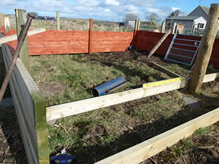 Picture of building an outdoor run and shelter for pet pigs